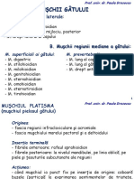 Musculaturaspatetoraceabdomen 180109082200 PDF