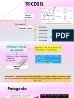 Esporotricosis