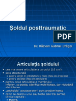 32310819-soldul-posttraumatic.pdf