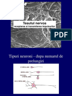 Subiecte Bacteriologie Examen