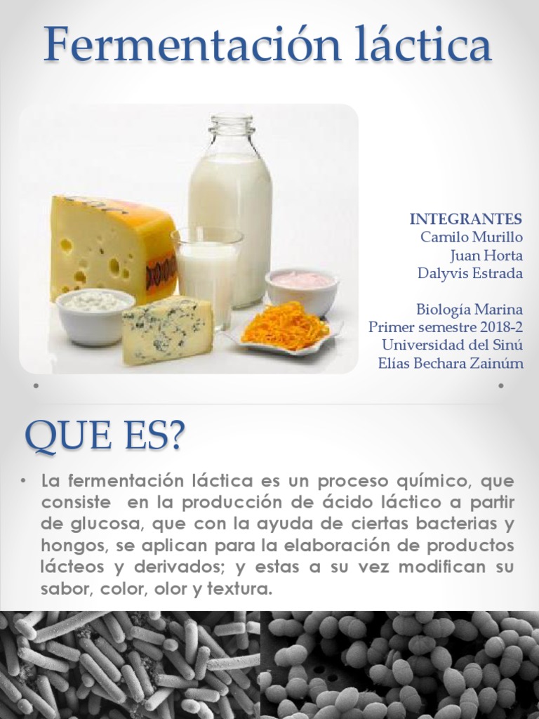 Fermentación láctica | Ácido láctico | Enzima