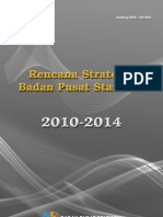 Renstra BPS 2010-2014