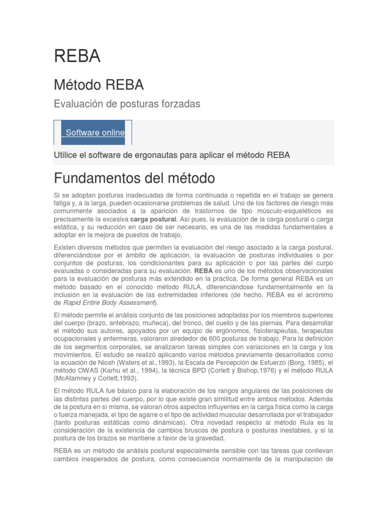 Evaluación de Posturas con REBA | PDF | Medición | Rotación