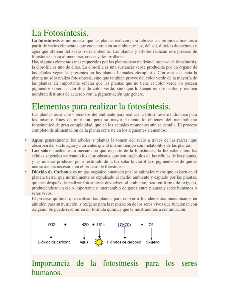 Proceso y Importancia de la Fotosíntesis | PDF | Fotosíntesis | Cloroplasto
