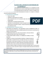 420-2014-02-18-23-Patologia-del-aparato-extensor-de-la-rodilla.pdf
