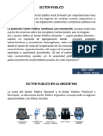 Sector Publico Argentino