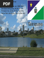 palestra_guarapuava.pdf