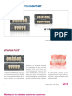 Cartamolde Vipidentplus Internacional