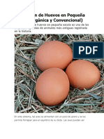 Producción de Huevos en Pequeña Escala.docx