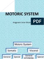 Motor System Components: Pyramidal and Extrapyramidal