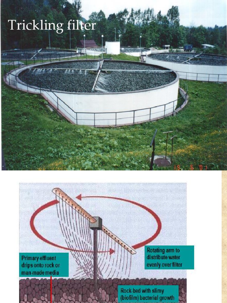 Trickling Filter PDF Sewage Treatment Wastewater