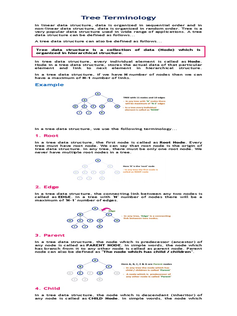 Tree Terminology | PDF | Algorithms And Data Structures | Computer Data