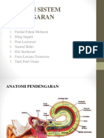Anatomi Sistem Pendengaran