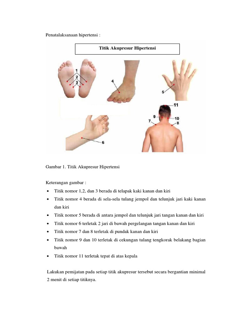 titik-akupresur-hipertensi-pdf