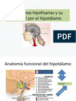 Hormonas Hipofisarias y Su Control Por El Hipotálamo