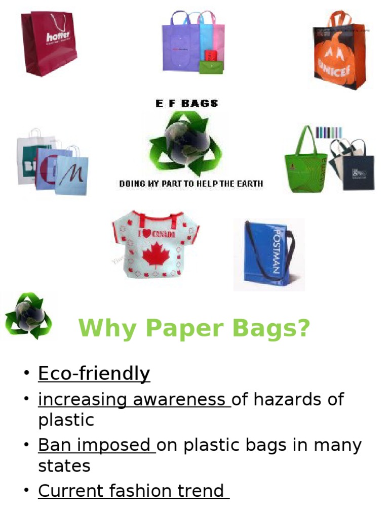 A Sample Paper Bag Making Business Plan Template IUCN Water