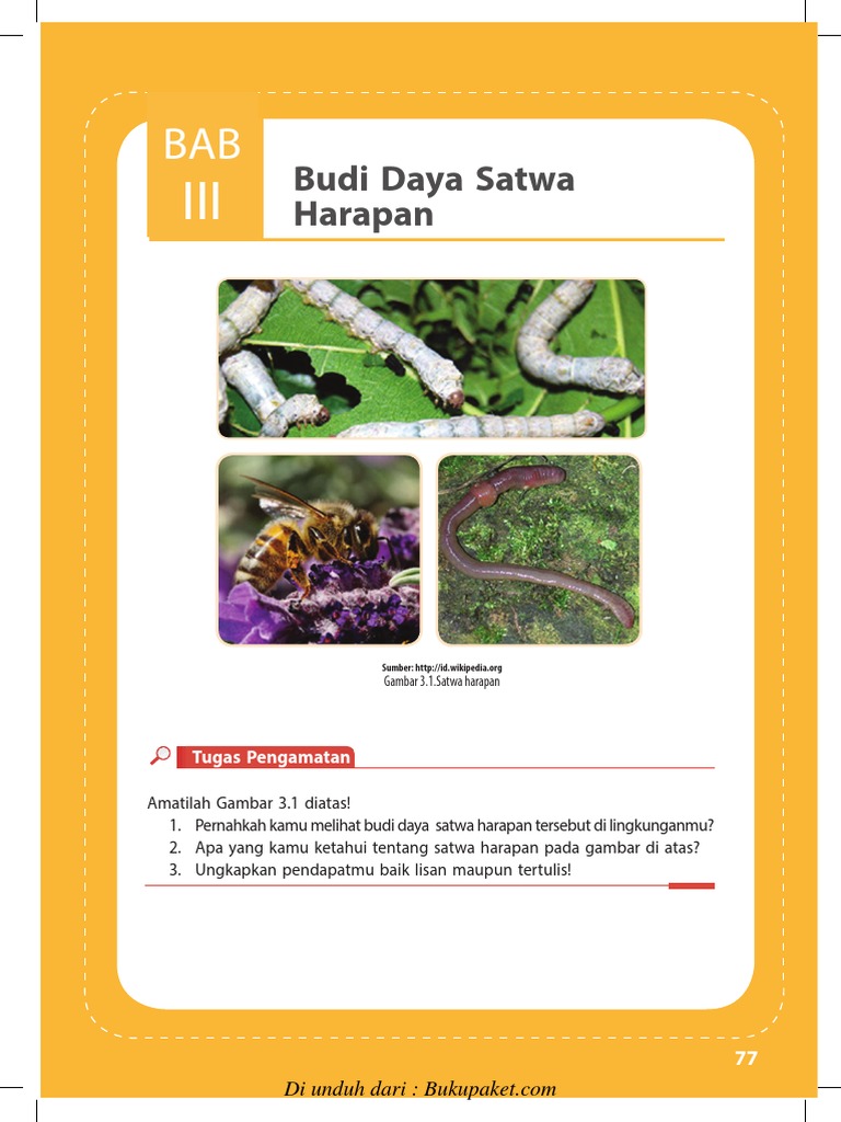 Jawaban Prakarya Kelas 8 Semester 2 Halaman 79 / Get Kunci Jawaban Lks Prakarya Kelas 8 Kurikulum 2013 Ilmu Soal Images