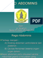 Regio Abdominis