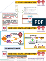 Inhibidores de La 5 Alfa Reductasa