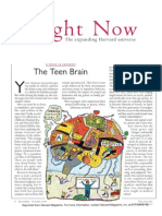 The Teen Brain