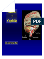 cerebelo-y-cognicion.pdf