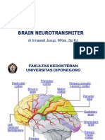 Feb 16 - Neurotransmitter SSP PDF