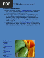 Download MANGGA MANGIFERA INDICA by Andre Xherlock Prabowo SN40046997 doc pdf