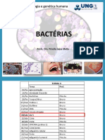 AULA 1 Bacterias