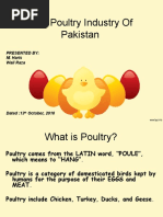 Download A Complete Analysis of the Poultry Industry of Pakistan Mohammad Ali Jinnah University Karachi by Wali Raza SN40047254 doc pdf
