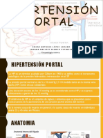 Hipertension Portal