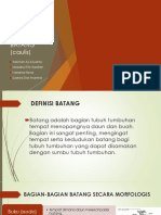 3 - Morfologi Batang