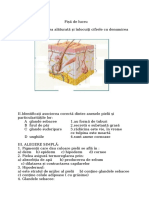 Test - Pielea Clasa A VII A