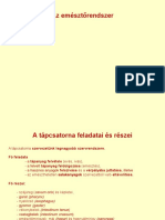 Anat1 8 Emésztőrendszer PDF