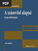 Penzugyi Szamvitel | PDF