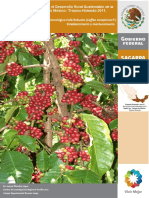 cafe_robusta.pdf