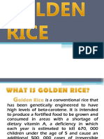 Golden Riceu 1