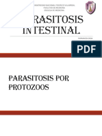 Parasitosis Intestinal