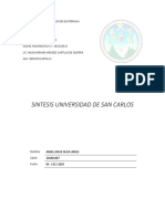 Sintesis Universidad de San Carlos