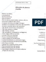 Clave para identificación plantas hasta familia