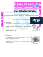 Animales Invertebrados PDF