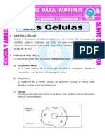Partes de La Celula PDF