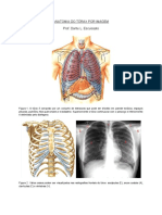 anatomia_do_torax.pdf