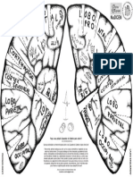 CAPACETE-DO-CEREBRO-A3-FRENTE-2A-VERSAO.pdf