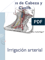 Vasos de Cabeza y Cuello 2012 PDF