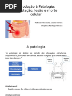 Aula 1 - Introdução à Patologia e Adaptações Celulares