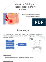 Aula 1 - Introdução À Patologia e Adaptações Celulares