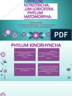 Invertebrados marinos: Phylum Kinorhyncha