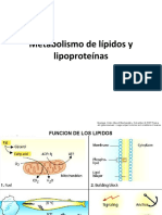 Lípidos y Lipoproteínas