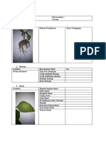 identifikasi bandotan (herbarium) 