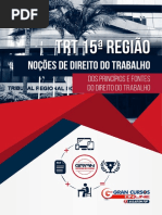 6608070-dos-principios-e-fontes-do-direito-do-trabalho.pdf